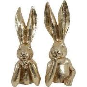 Haas Zen M a2 goud