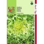 2 stuks - Krulandijvie Fijne Krul Geel Altijd Witte