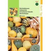 2 stuks - Cucurbita Pepo, Sierkalebas Kleinvr. Gem.