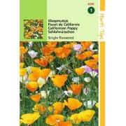 2 stuks - Eschscholtzia Californica Enkelbl. Gemengd
