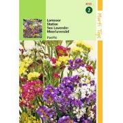 2 stuks - Statice Sinuata Pacific Gemengd