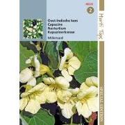 5 stuks - HTS Tropaeolum, Oost-indische kers Milkmaid