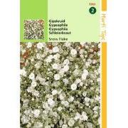 2 stuks - Gypsophila Paniculata Snow Flake Dubbel. Wit