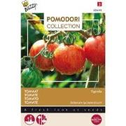 3 stuks - Pomodori tigerella