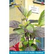 3 stuks - Basilico santo