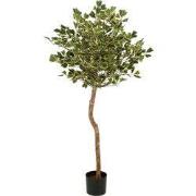 Mica Decorations Ficus Triangularis – Kunstplant in Pot – Realistische...