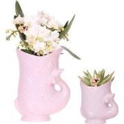 Kolibri Orchids | Set van witte orchidee Nazaré en succulent in Fish s...