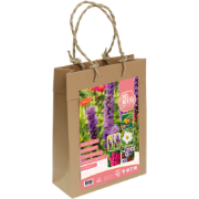 Bloembollen Bijenpakket