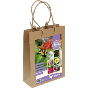 Bloembollen Vlinderpakket