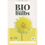 2 stuks - Bio Dahlia Bilbao 1 bol