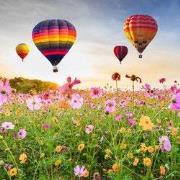 Buitencanvas luchtbalonnen 78x78cm