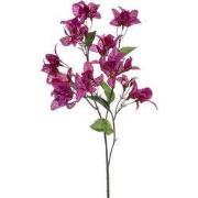 Bougainvillea spray fuchsia 68 cm