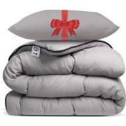 Avenue – Dekbed zonder overtrek 240x220 cm Taupe + Hoofdkussen 60x70 c...