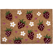 SHAININ - Deurmat - Meerkleurig - 40 x 60 cm - Kokos