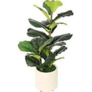 Fiddle fig 72 cm kunstplant