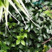 Kunstplanten mat 50x50 cm mis blues b