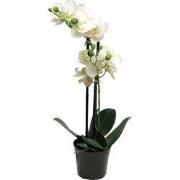 Phalaenopsis orchidee in pot 50 cm wit kunstplant