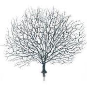  decoration blauw 47 cm kunsttak