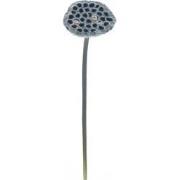 Single lotus pad spray bruin 63 cm kunsttak