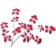 Blad fluweel beauty 134 cm kunsttak