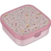 Bento lunchbox campus groot fairy garden