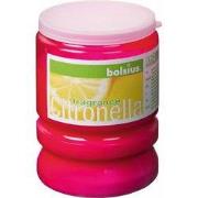 4 stuks - Party light kaars citronella 86/65 Fuchsia