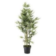 Plant plc d20h20 cm rood