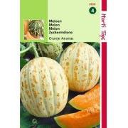 2 stuks - Meloenen Oranje Ananas