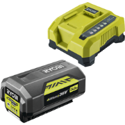 Max Power 36V 4.0Ah Accu & Snellader