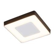 Lucande - Sora Buiten Plafondlamp White/Dark Grey