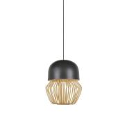 Forestier - Anemos Hanglamp S Anthracite