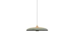 Forestier - Grass Hanglamp L Blue