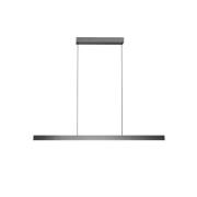 LIGHT-POINT - Edge Linear S1500 Hanglamp Titanium