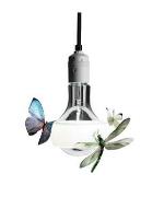 Ingo Maurer - Johnny B. Butterfly Hanglamp 170cm White