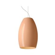 Foscarini - Buds 1 Hanglamp 10m Pale Roos