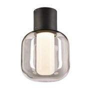 SLV - Ovalisk Buiten Plafondlamp LED  Anthracite