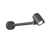 Lucande - Beatrix Buiten Wandlamp Dark Grey/Clear