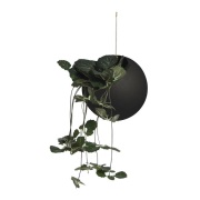 AYTM - Globe plantenpot Ø17xH28 zwart/goud