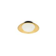 Faro Side - plafond/wandverlichting - Ø 20 x 9 cm - zwart & goud