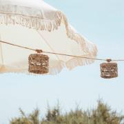 New Garden Alba - lichtslinger - 8 meter slinger waarvan 3 meter snoer...