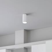 Lutec Stag - opbouwspot - slimme verlichting - Lutec Connect - Ø 5,4 x...